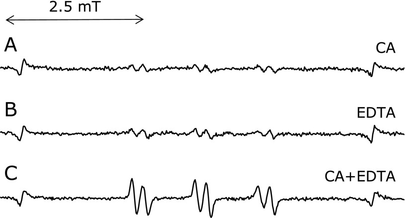 Fig. 7