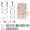 Figure 2.