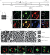 Figure 3.