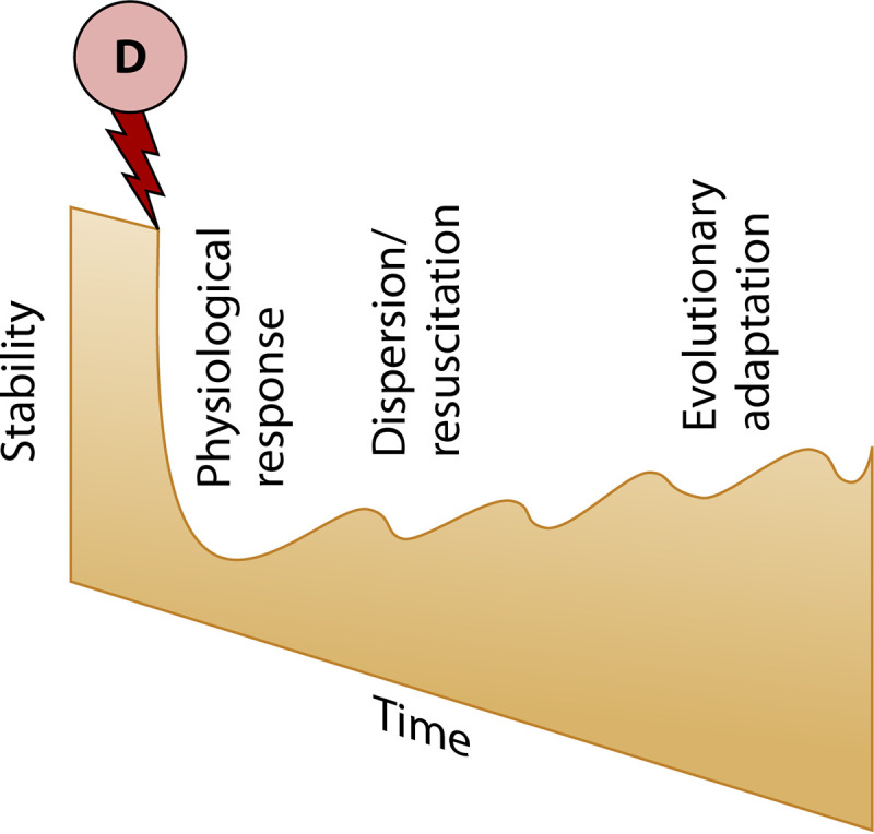 FIG 3