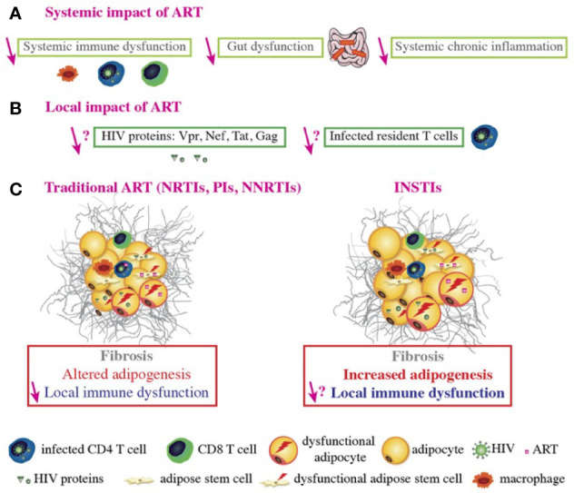 Figure 3