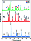 Fig. 1