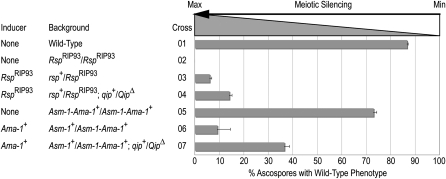 Figure 1.—