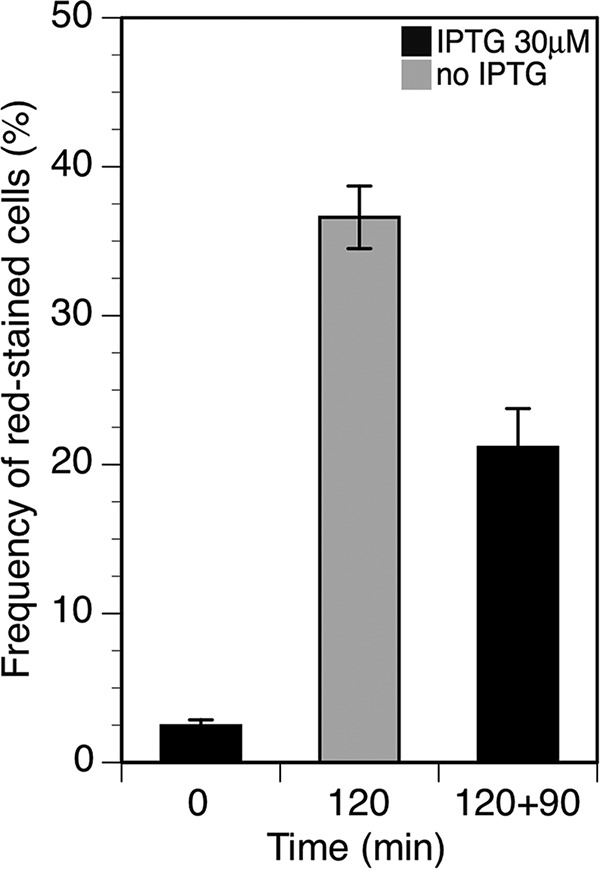 FIG 4 