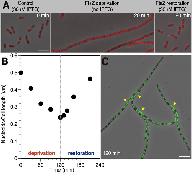 FIG 3 