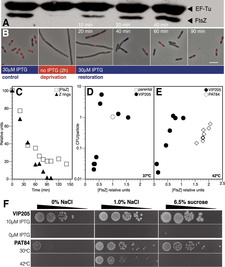 FIG 1 