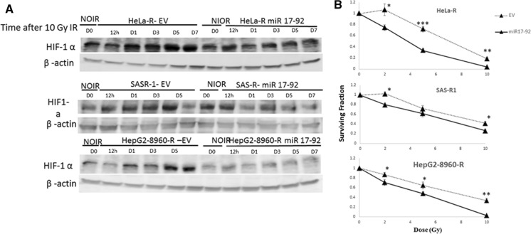 Fig. 6