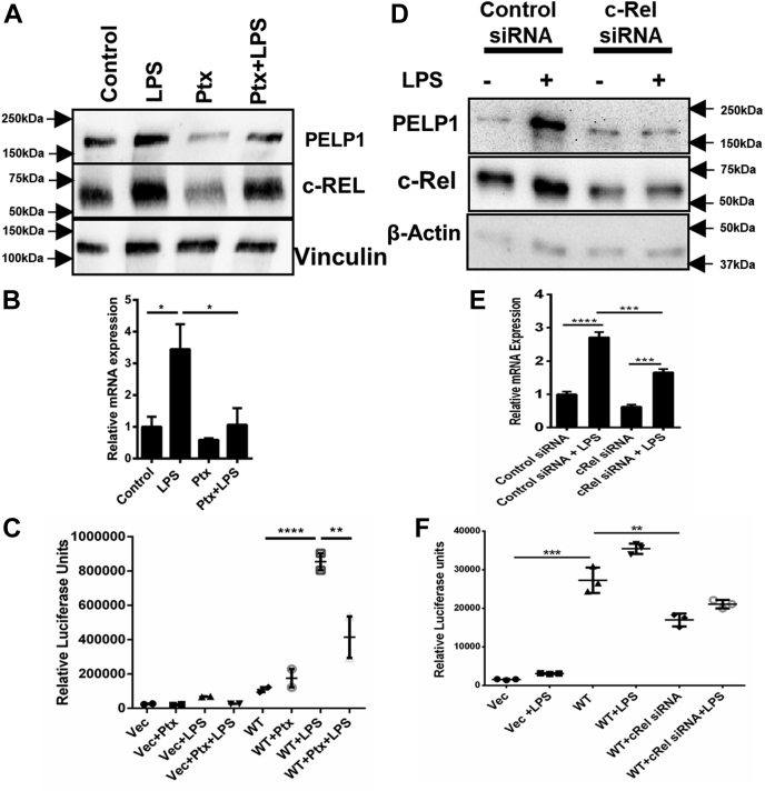 Figure 4