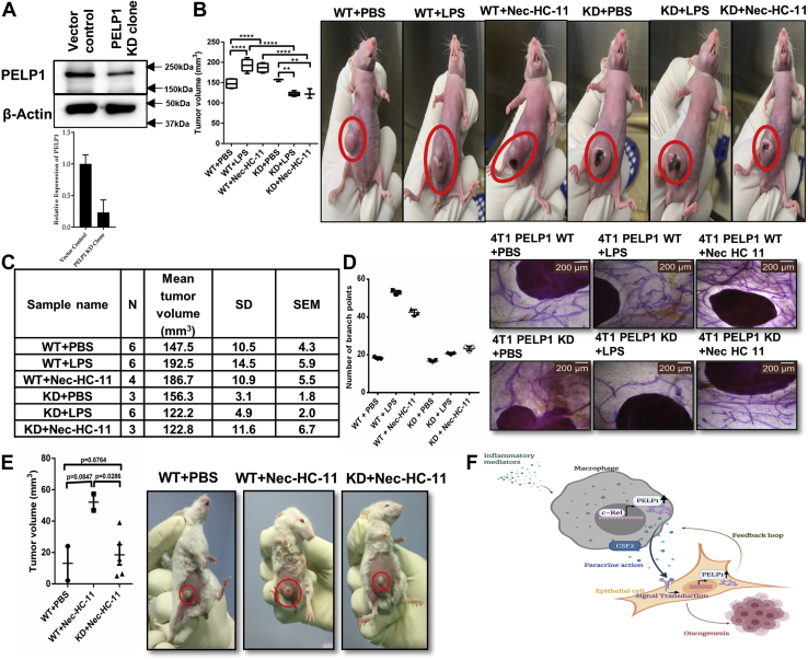 Figure 12