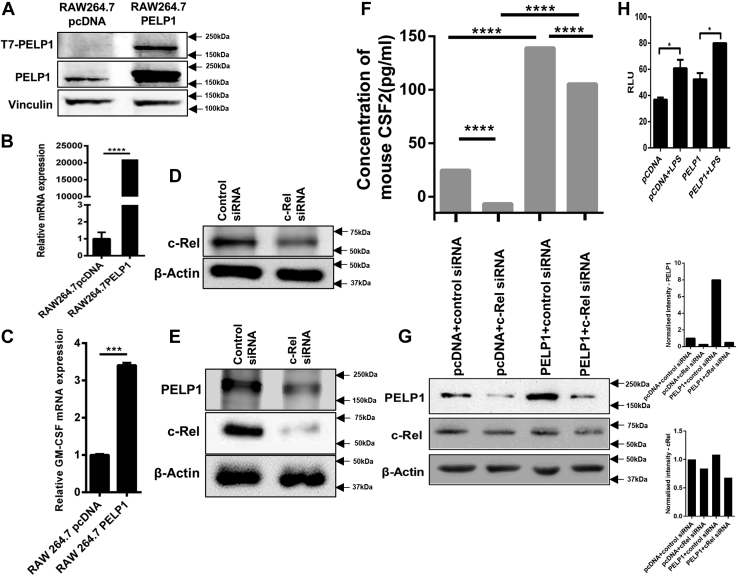 Figure 6