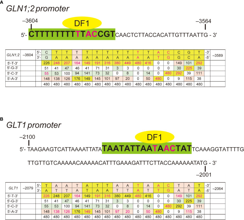 Figure 4