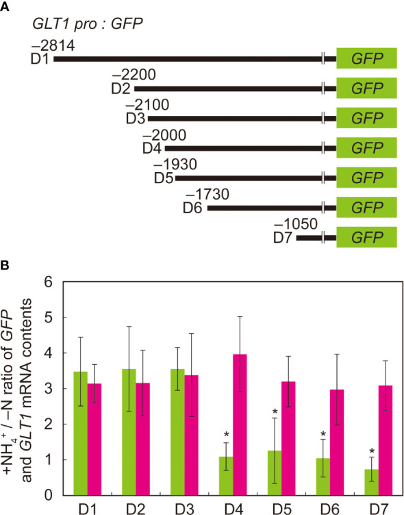 Figure 3