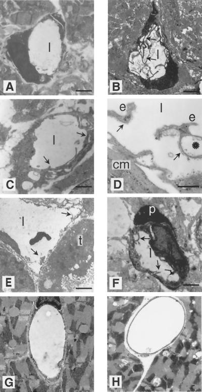 FIG. 9