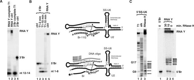 FIGURE 6.