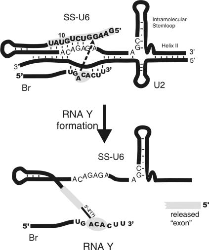 FIGURE 7.