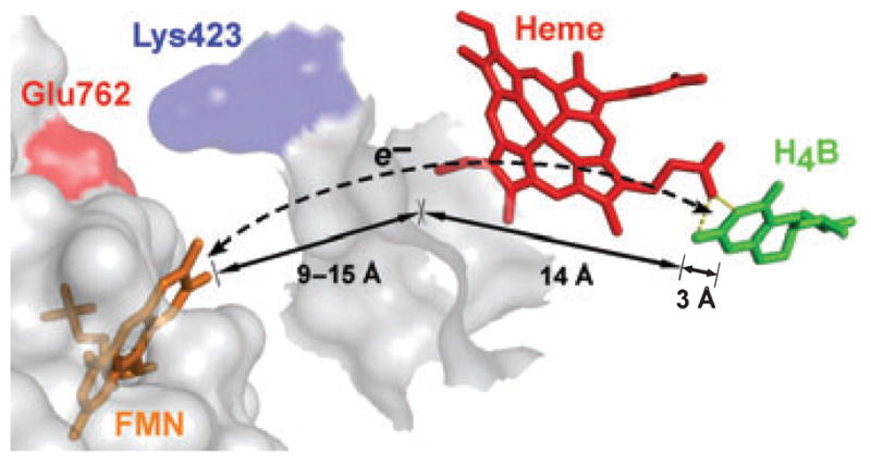 Fig. 9