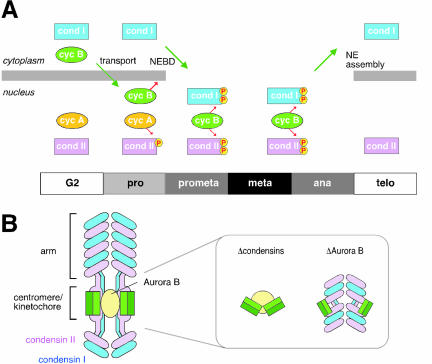 Figure 7.