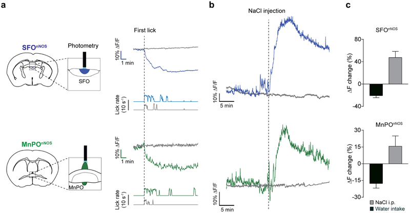 Extended Data Figure 4 |