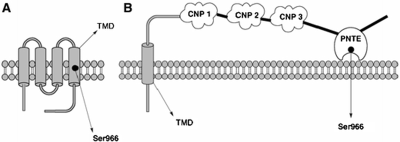 Figure 5: