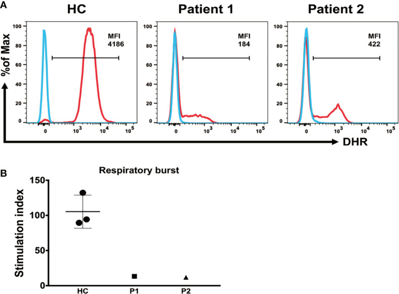 Figure 4