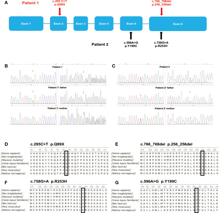 Figure 2