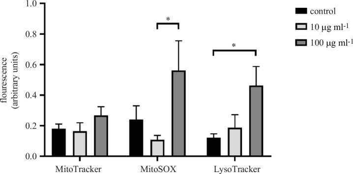 Intracellular effect of MNPs exposure on Neuro-2a cells.