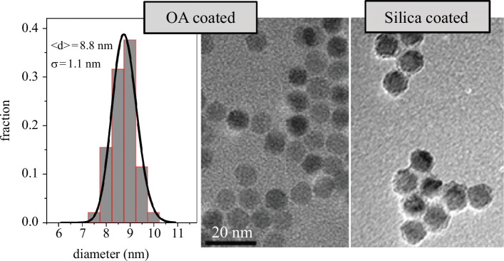 Transmission electron micrographs of oleic acid-coated (middle) and silica-coated (right) nanoparticles.