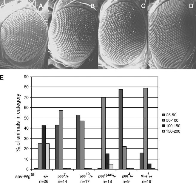 Figure 1.—