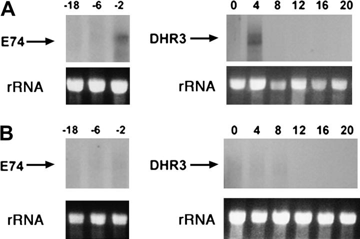 Figure 3.—