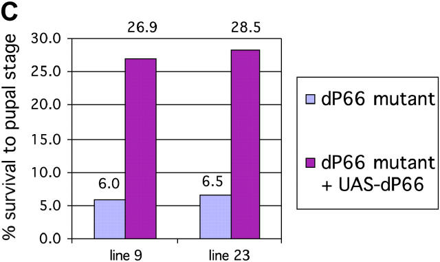 Figure 5.—