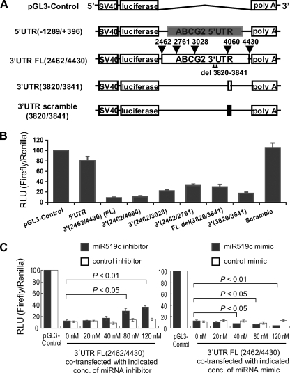 FIG. 4.