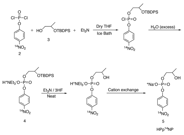 Scheme 2