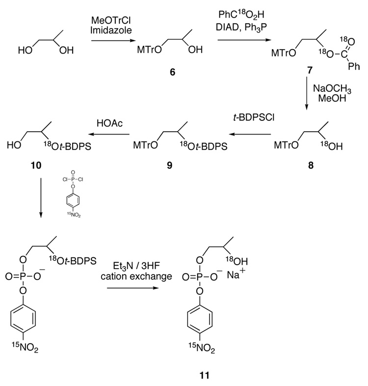 Scheme 3