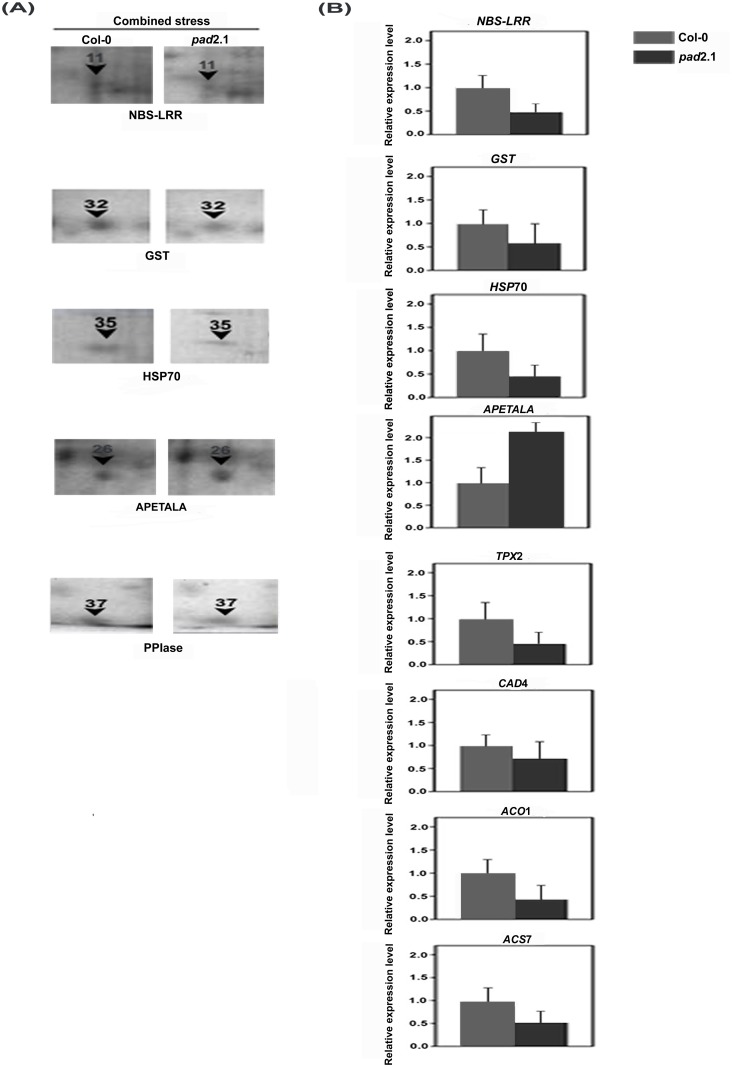 Fig 9