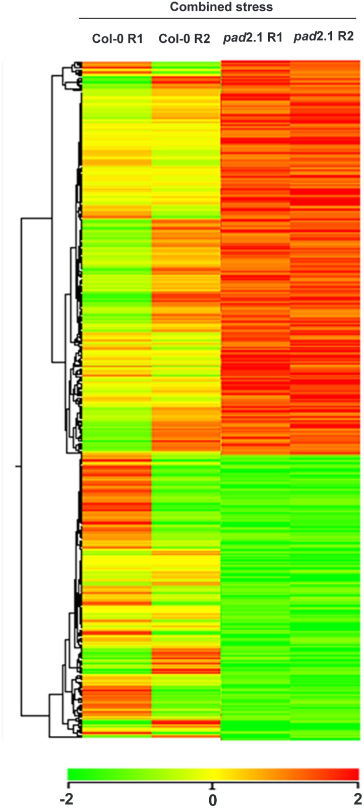 Fig 2