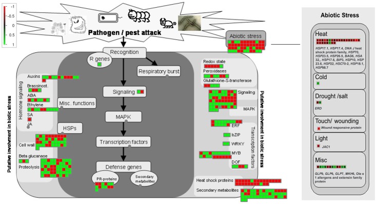 Fig 10