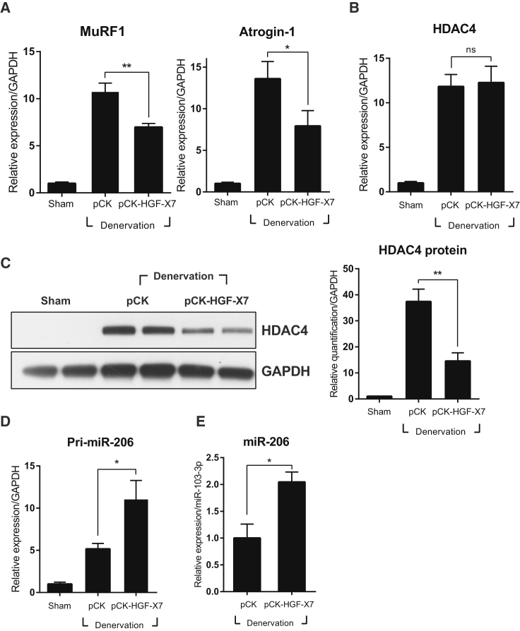 Figure 6