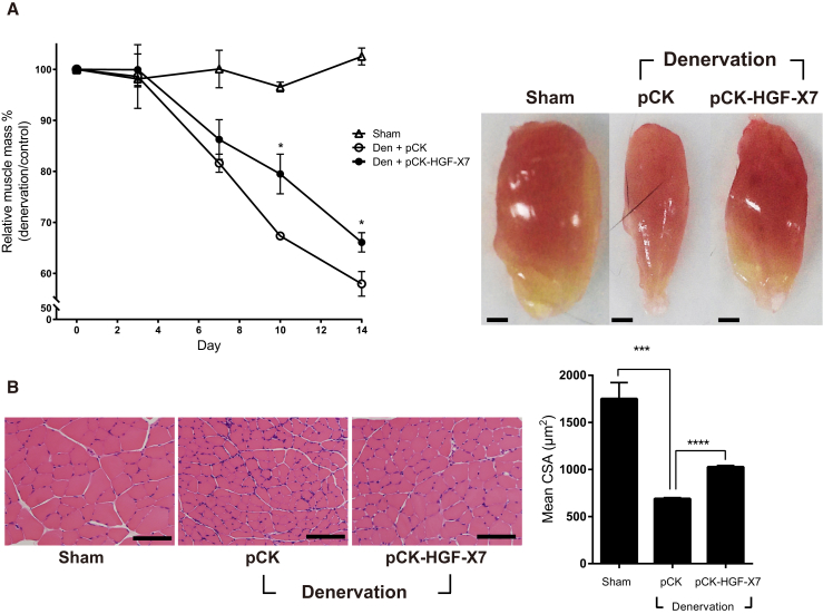 Figure 5