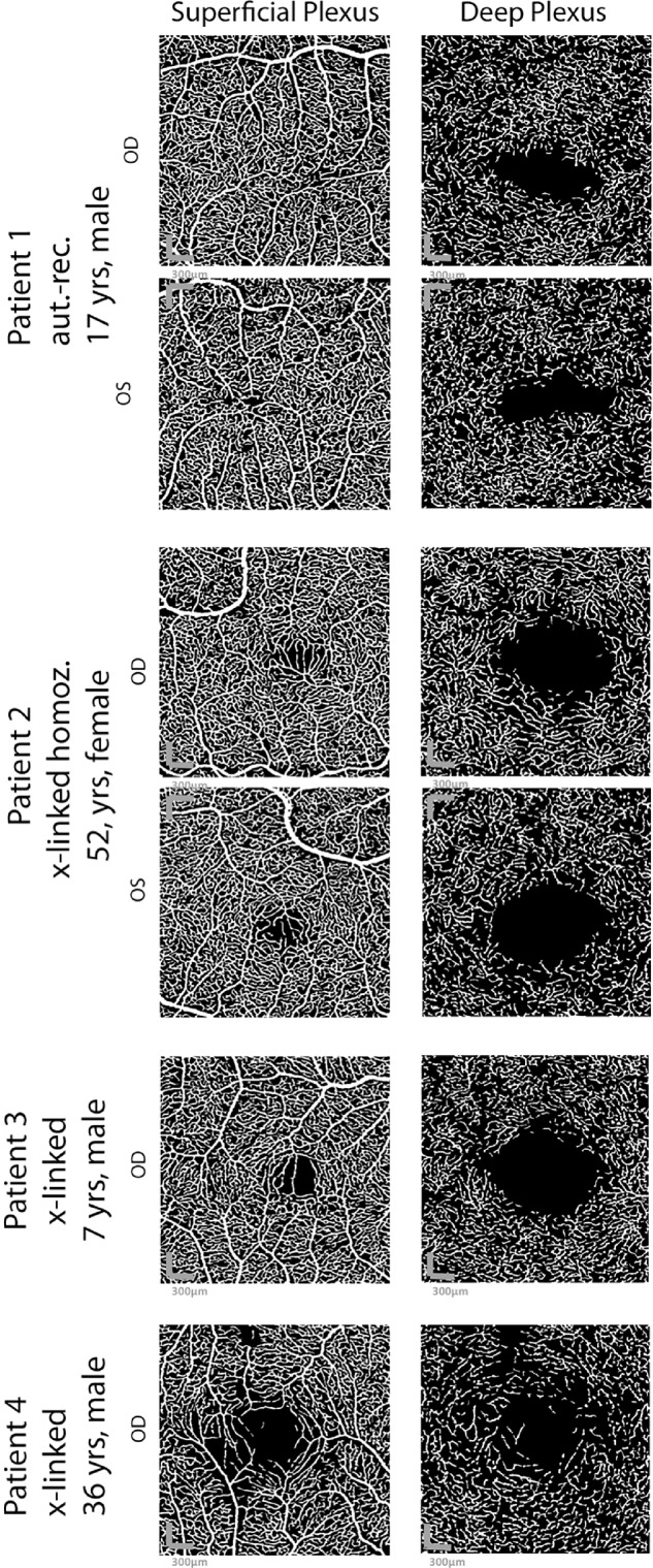 Figure 6.