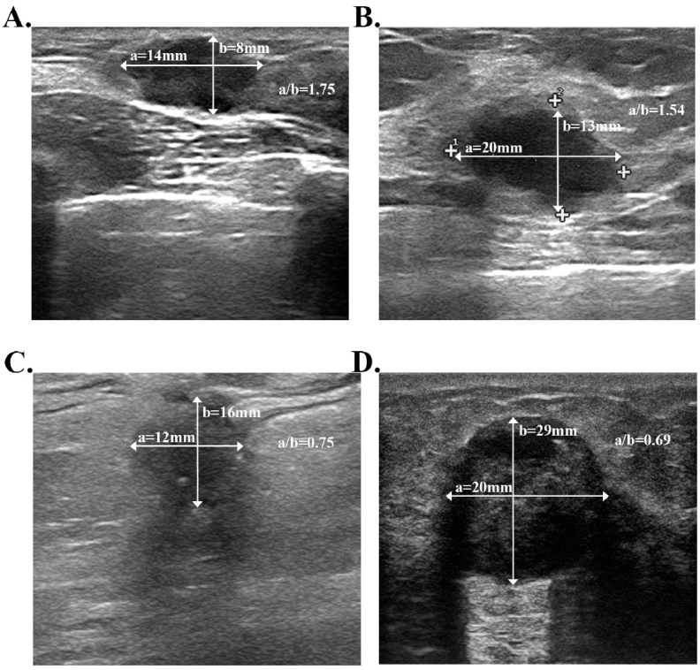 Fig. 3