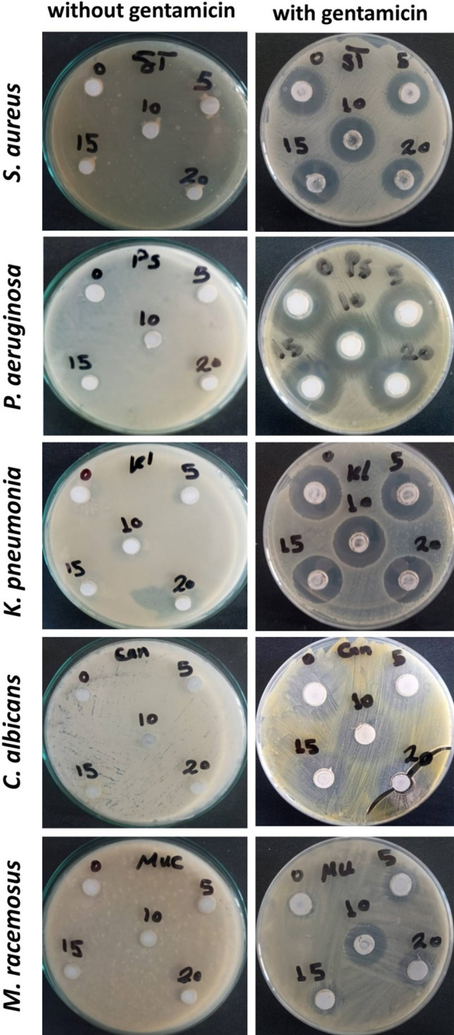 Figure 13