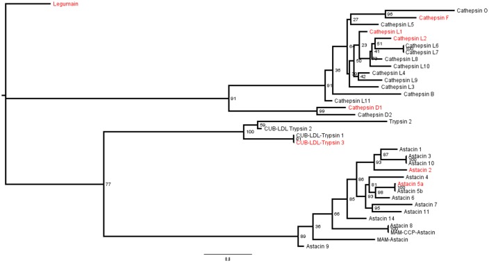 Fig 6