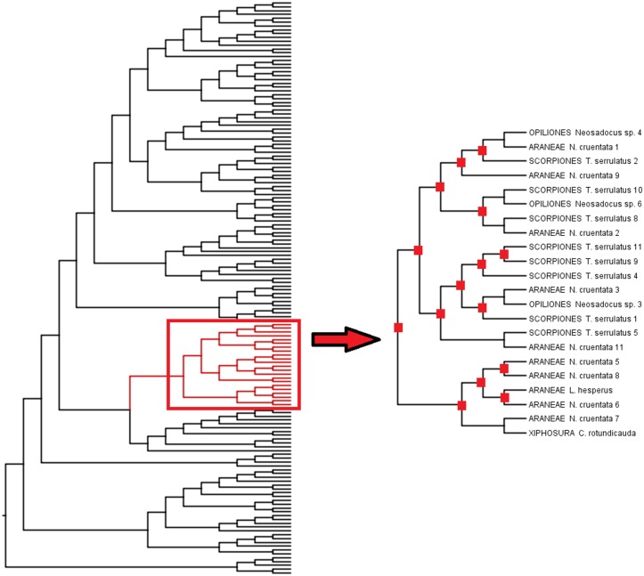 Fig 7