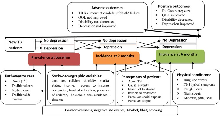 Figure 1