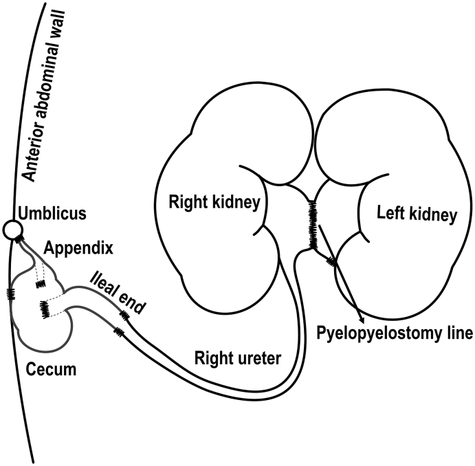 Fig. 2