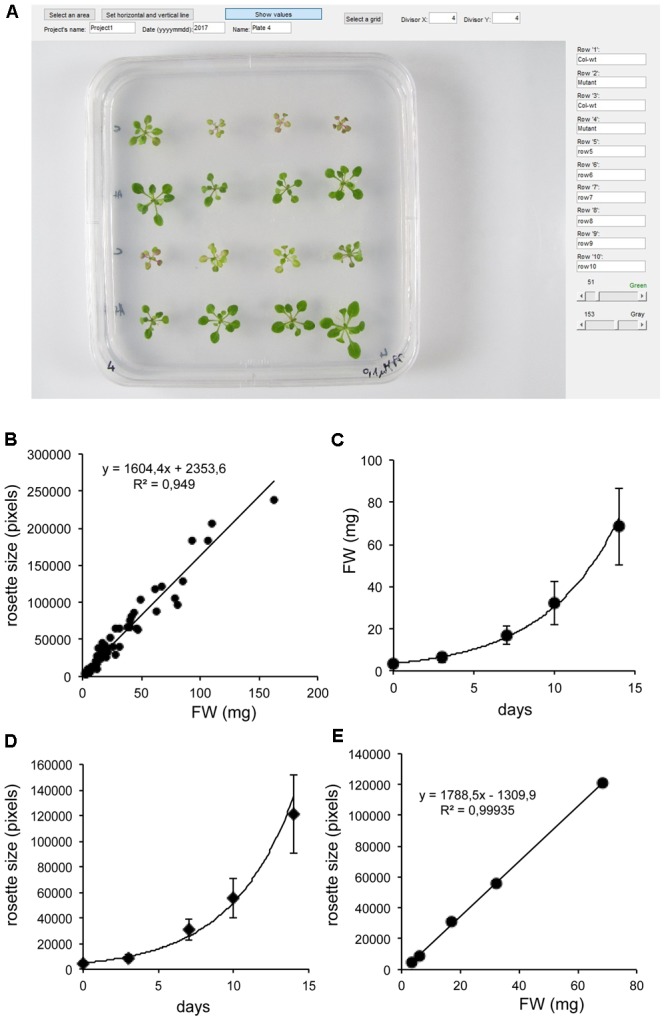 FIGURE 1