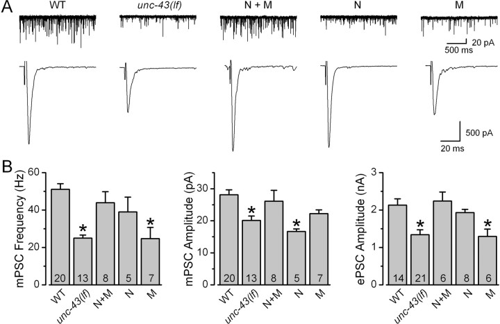 Figure 6.