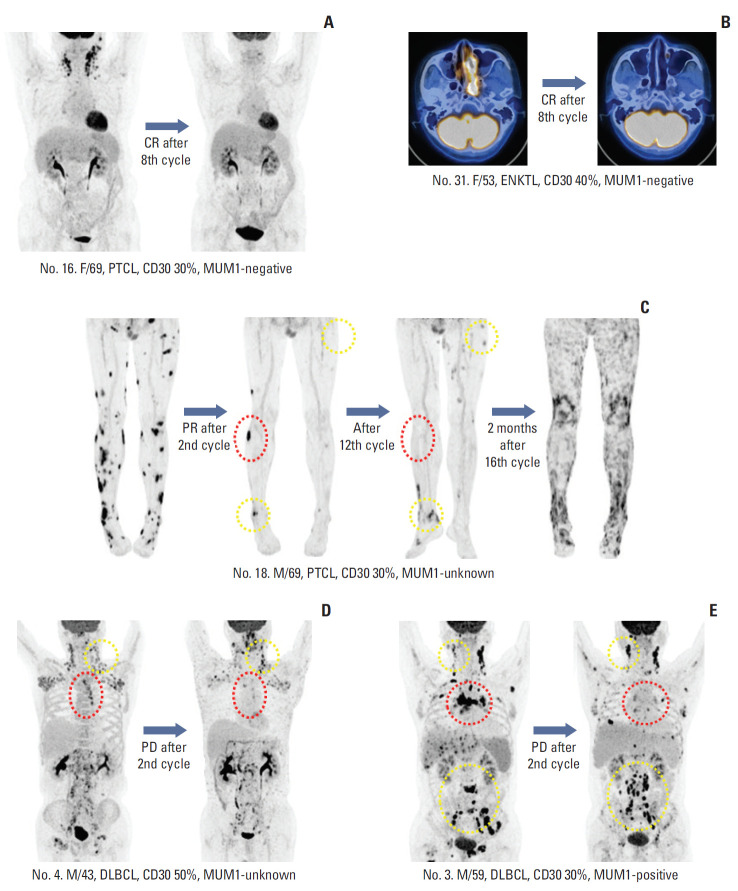 Fig. 4.