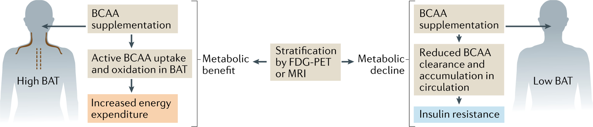 Fig. 6 |