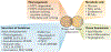 Fig. 5 |